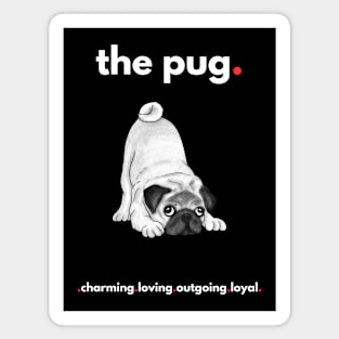 The Pug Magnet